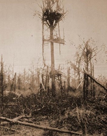 H:\Downloads\Wallpaper\WW1\Compressed photos\c_19-r_German observation post in Mametz Wood, destroyed by shellfire.jpg