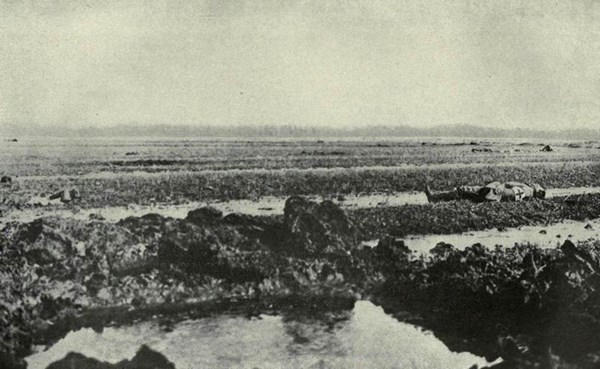 H:\Downloads\Wallpaper\WW1\Compressed photos\c_28-r_Dead Russian medic.jpg