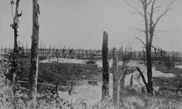 H:\Downloads\Wallpaper\WW1\Compressed photos\c_54-r_View Of The Ruins Of Thiepval.jpg