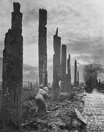 H:\Downloads\Wallpaper\WW1\Compressed photos\c_57-r_Battle-scarred sentinels.jpg
