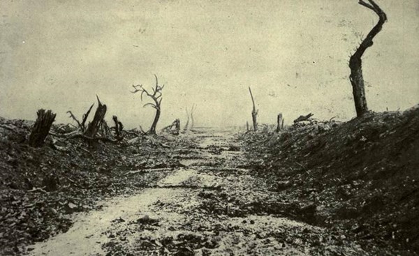 H:\Downloads\Wallpaper\WW1\Compressed photos\c_58-r_French road lined with shattered trees.jpg
