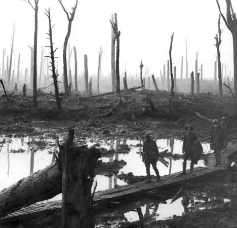 H:\Downloads\Wallpaper\WW1\Compressed photos\c_59-r_Chateau wood, Ypres 1917.jpg
